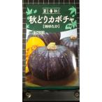 ３袋以上でクーポン割引 秋どり カボチャ 味ゆたか 種 郵便は送料無料 南瓜