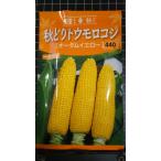 ３袋以上でクーポン割引 秋どり トウモロコシ 種 郵便は送料無料 オータムイエロー とうもろこし
