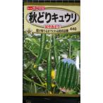 ３袋以上でクーポン割引 秋どり キュウリ はやみどり 