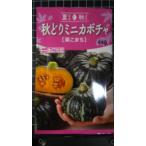３袋以上でクーポン割引 秋どり ミニ カボチャ 栗こま