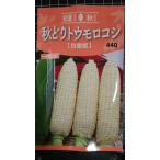 ３袋以上でクーポン割引 秋どり トウモロコシ 白雪姫 ホ ワイト 種 郵便は送料無料