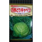３袋以上でクーポン割引 四季どり キャベツ 味星 種 郵便は送料無料