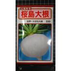 ３袋以上でクーポン割引 桜島 大根 種 郵便は送料無料