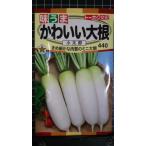 ３袋以上でクーポン割引 かわいい ミニ 大根 ダイコン 小太郎 種 郵便は送料無料