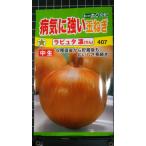 ３袋以上でクーポン割引 玉ねぎ ラピュタ 凛 病気に強い 種 郵便は送料無料 たまねぎ