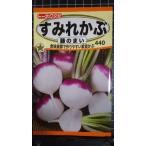 ３袋以上でクーポン割引 すみれ かぶ 藤のまい 紫首 カブ 種 郵 便は送料無料