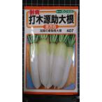 ３袋以上でクーポン割引 耐病 打木源助 大根 種 郵便は送料無料 だいこん 百万石 うちきげんすけ