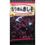 ３袋以上でクーポン割引 ちりめん 赤 しそ アカシソ 種 郵便は送料無料