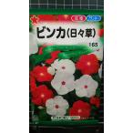 ３袋以上でクーポン割引 ビンカ 日々草 ニチニチソウ 