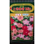 ３袋以上でクーポン割引 ビンカ ときめき MIX 日々草 
