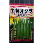 ３袋以上でクーポン割引 丸莢 オクラ エメラルド 丸さや 種 郵便は送料無料