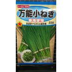 ３袋以上でクーポン割引 万能 小ねぎ スリム こねぎ 種 郵便は送料無料