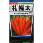 ３袋以上でクーポン割引 札幌 太  ニンジン  人参 種 郵便は送料無料