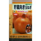 貯蔵向き 玉ねぎ 新きぬ和 タマネギ 種 郵便は