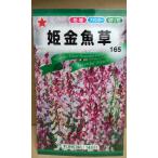 ショッピング金魚 ３袋以上でクーポン割引 姫 金魚草 リナリア 種 郵便は送料無料