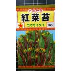 ３袋以上でクーポン割引 紅菜苔 コウサイタイ 種 郵便は送料無料