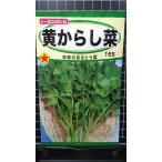 ３袋以上でクーポン割引 黄 からし菜 からしな とう菜 種 郵便は送料無料