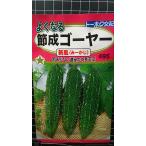 ３袋以上でクーポン割引 節成 ゴーヤー 新風 み〜かじ よくなる 種 郵便は送料無料