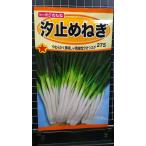 ３袋以上でクーポン割引 汐止め しおどめ ねぎ ネギ 葱 種 郵便は送料無料