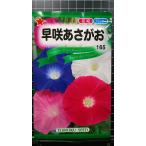 ３袋以上でクーポン割引 早咲 あさがお 朝顔 種 郵便は送料無料