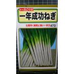3 пакет и больше . купон скидка один год успех лук порей лук-батун . вид mail. бесплатная доставка 