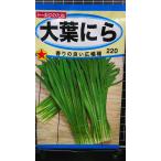 ３袋以上でクーポン割引 大葉 ニラ 広幅 にら 種 郵便は送料無料