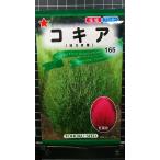 ３袋以上でクーポン割引 コキア ほうき草 ホウキグサ 種 郵便は送料無料
