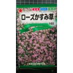 ３袋以上でクーポン割引 ローズ かすみ草 カスミソウ 種 郵便は送料無料