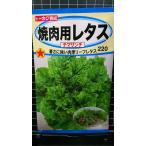 ３袋以上でクーポン割引 焼肉用 レタス チマサンチ チマサンチュ チマサンテ リーフ 種 郵便は送料無料