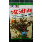３袋以上でクーポン割引 つるむらさき 赤茎 種 郵便は送料無料