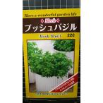 3袋以上でクーポン割引 ブッシュ バジル 種 郵便は送料無料