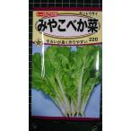 3 пакет и больше . купон скидка ...... солнечный tou носорог гора восток .be kana вид mail. бесплатная доставка 