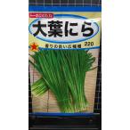 3 пакет и больше . купон скидка большой лист чесночный лук широкий ширина .. вид mail. бесплатная доставка 