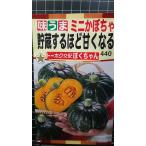3 пакет и больше . купон скидка . магазин делать примерно .. становится .. Chan юг . тыква вид mail. бесплатная доставка 