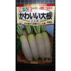 3 пакет и больше . купон скидка симпатичный Mini дайкон дайкон маленький Taro вид mail. бесплатная доставка 