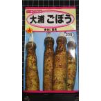 3 пакет и больше . купон скидка большой . gobou корова . вид mail. бесплатная доставка 