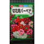 ３袋以上でクーポン割引 切花用 バーベナ 種 郵便は送