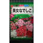 3 пакет и больше . купон скидка прекрасный женщина ...... вид mail. бесплатная доставка 