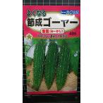 3 пакет и больше . купон скидка .. горький огурец - новый способ .~.. хорошо становится вид mail. бесплатная доставка 