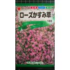 3 пакет и больше . купон скидка rose гипсофила rental mi saw вид mail. бесплатная доставка 