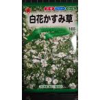 3 пакет и больше . купон скидка белый цветок гипсофила rental mi saw вид mail. бесплатная доставка 