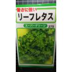 3 пакет и больше . купон скидка leaf lettuce super зеленый вид mail. бесплатная доставка 