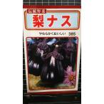 3 пакет и больше . купон скидка груша nas.. вид mail. бесплатная доставка 