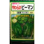 3 пакет и больше . купон скидка мягкость зеленый перец зеленый блестящий вид mail. бесплатная доставка 