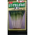 3 пакет и больше . купон скидка ...... лук порей . белый 1 шт futoshi . вид mail. бесплатная доставка 