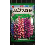 3 пакет и больше . купон скидка rupinas смешивание вид mail. бесплатная доставка 