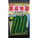 3 пакет и больше . купон скидка .. земля . огурец .... . кий li.. вид mail. бесплатная доставка 