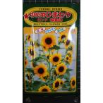 3 пакет и больше . купон скидка срезанный цветок для подсолнух long do колесо танцевальная музыка Mukou . вид mail. бесплатная доставка 