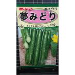 3 пакет и больше . купон скидка сон ... огурец кий li вид mail. бесплатная доставка 