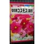 3 пакет и больше . купон скидка срезанный цветок для Cosmos смешивание осень Sakura вид mail. бесплатная доставка 